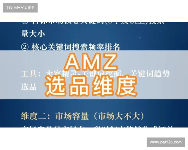 智能百科:单机版中亚马逊技能选择指南 智能百科:单机版中亚马逊技能选择指南