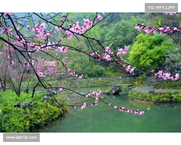 桃花源奇境手游全景攻略:探索世外桃源 桃花源奇境手游全景攻略:探索世外桃源