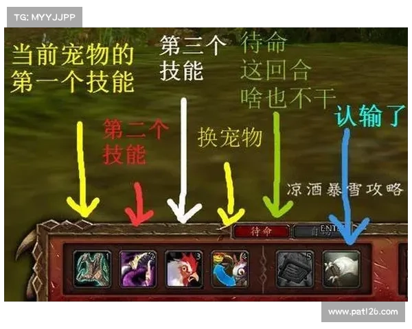 魔兽世界宠物对战升级攻略 魔兽世界宠物对战升级攻略